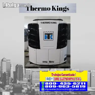 THERMO KING vehículos refrigerados Foto 7154699-2.jpg