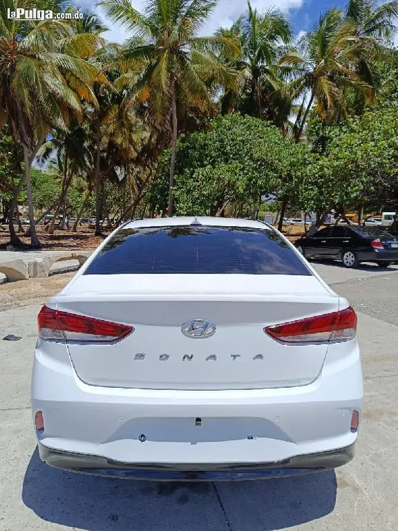 Hyundai Sonata New Rise 2019  Foto 7155924-1.jpg