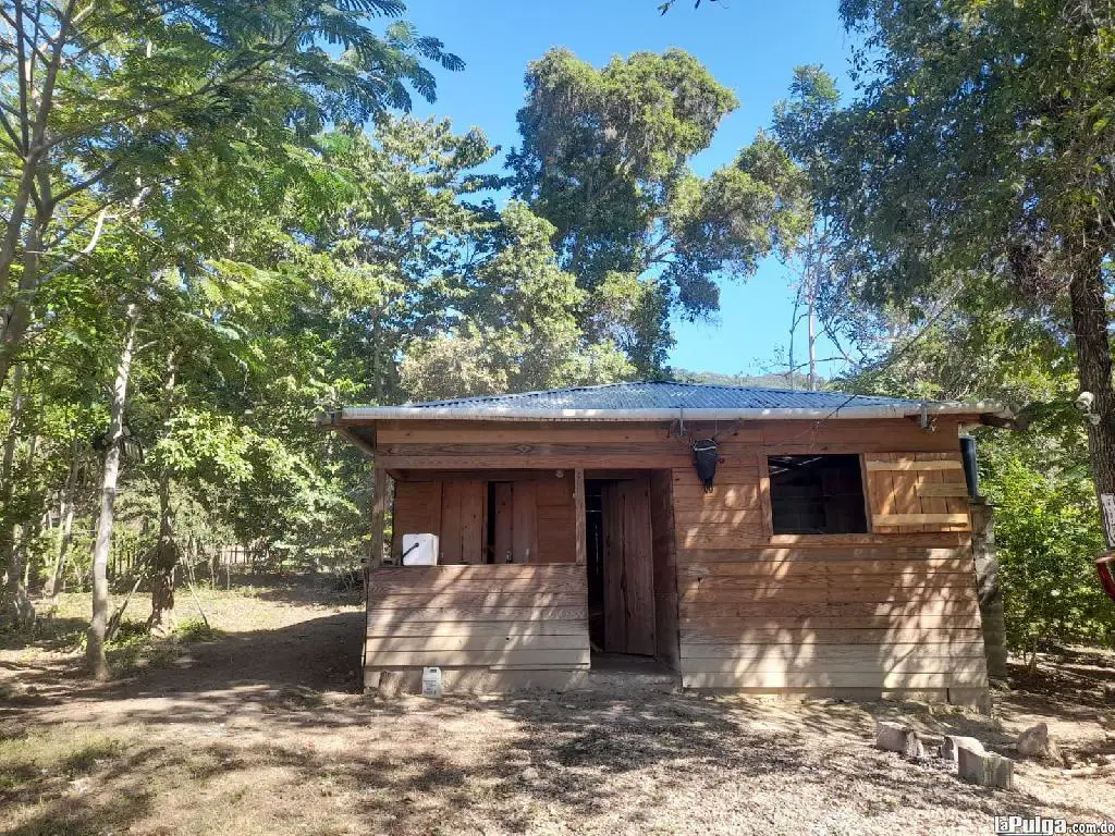 10 tarea de tierra casa de madera pino tratado. arboles frutales Foto 7155959-1.jpg