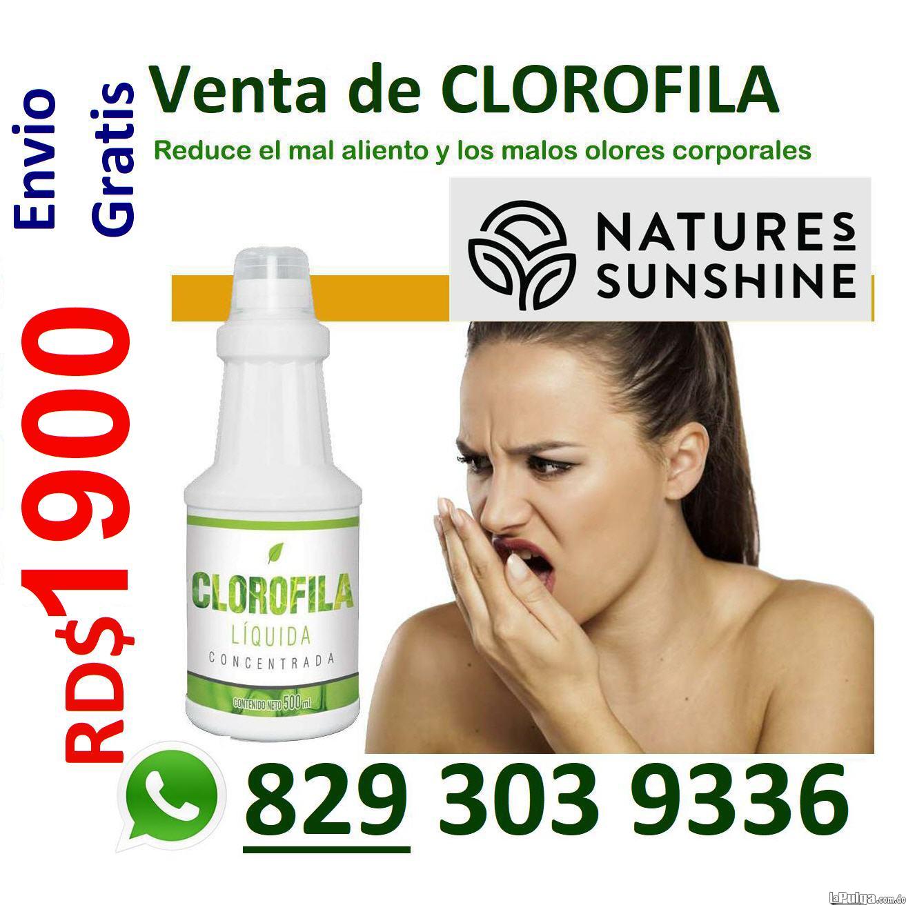 chlorophyll clorofila liquida purisima original marca natures sunshine Foto 7157808-2.jpg