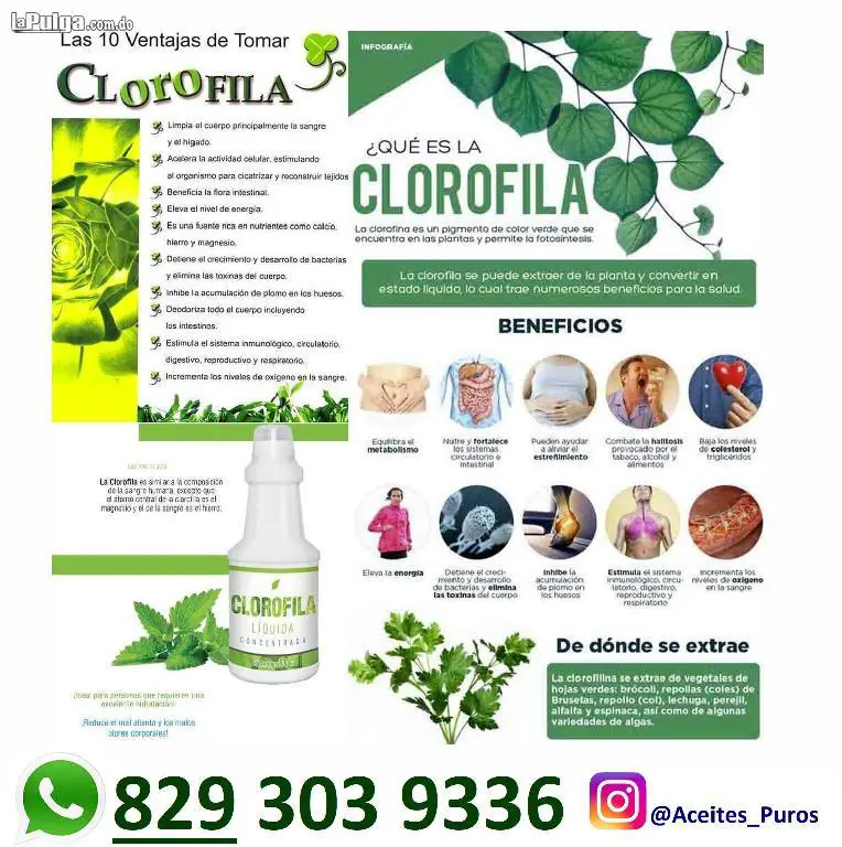 chlorophyll clorofila liquida purisima original marca natures sunshine Foto 7157808-4.jpg