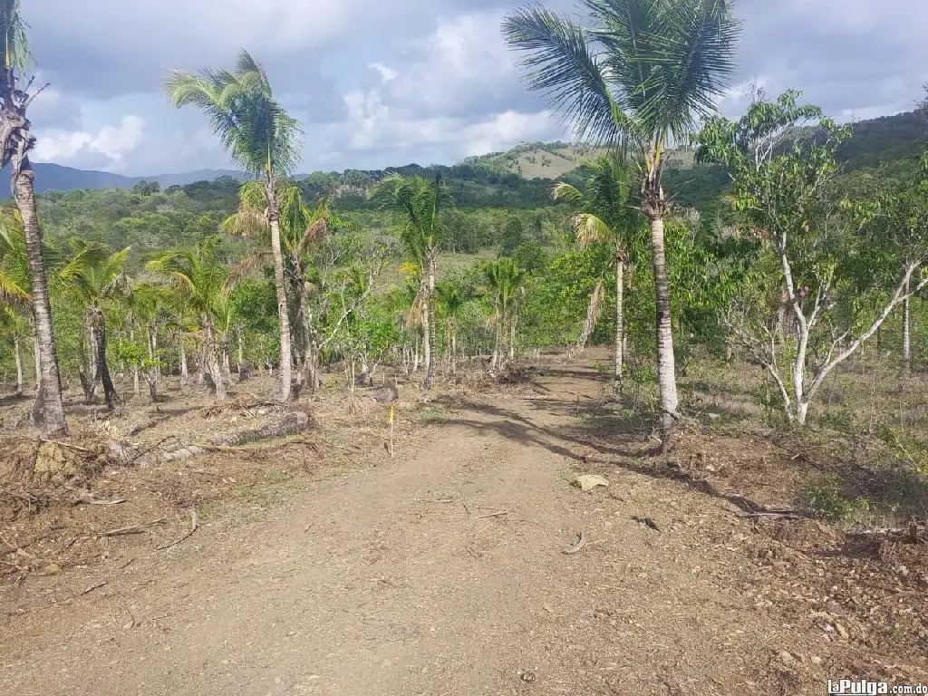 Finquita en Proyecto Ecoturístico en Villa Altagracia Foto 7158118-1.jpg