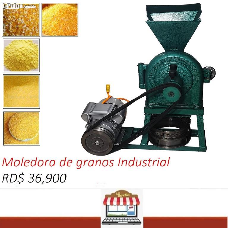 Molino moledora molinillo triturador de granos cafe harina trigo maiz  Foto 7158196-3.jpg