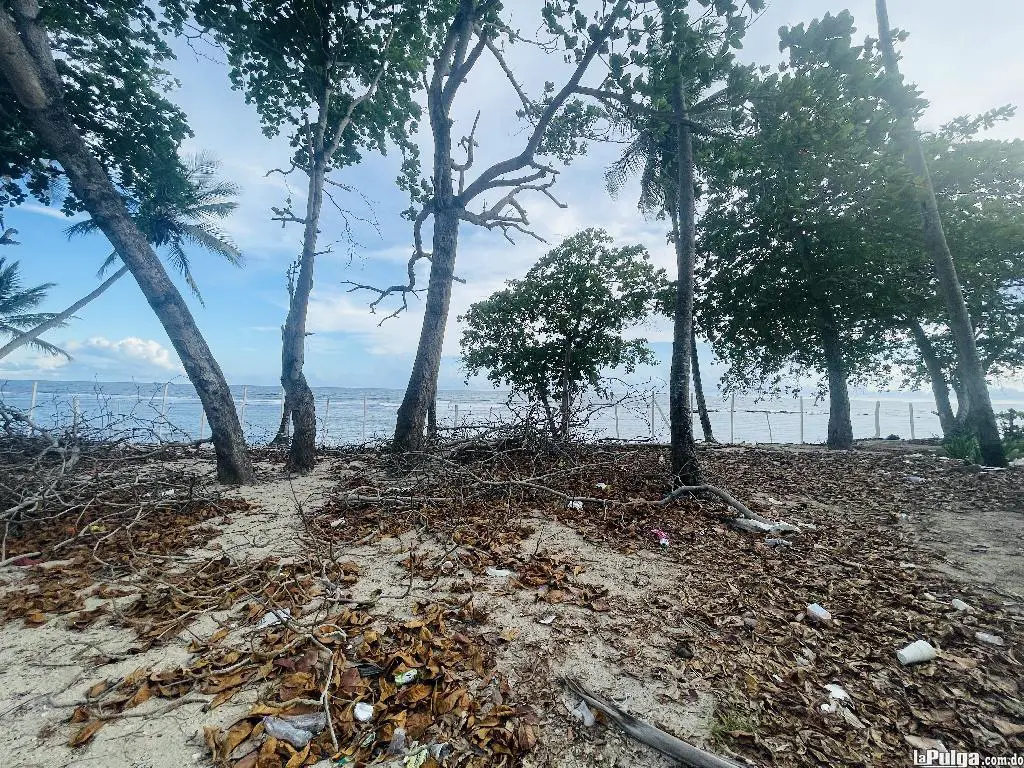 Proyecto turístico en venta en primera Linea de playa Foto 7158424-5.jpg