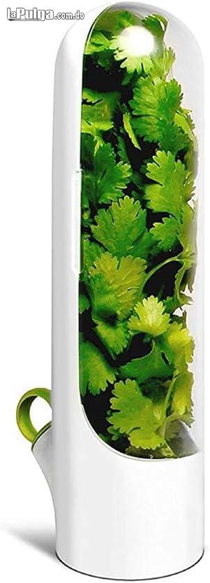Botella De Conservación De Verduras vegetales cilantro cebollin env Foto 7160553-1.jpg