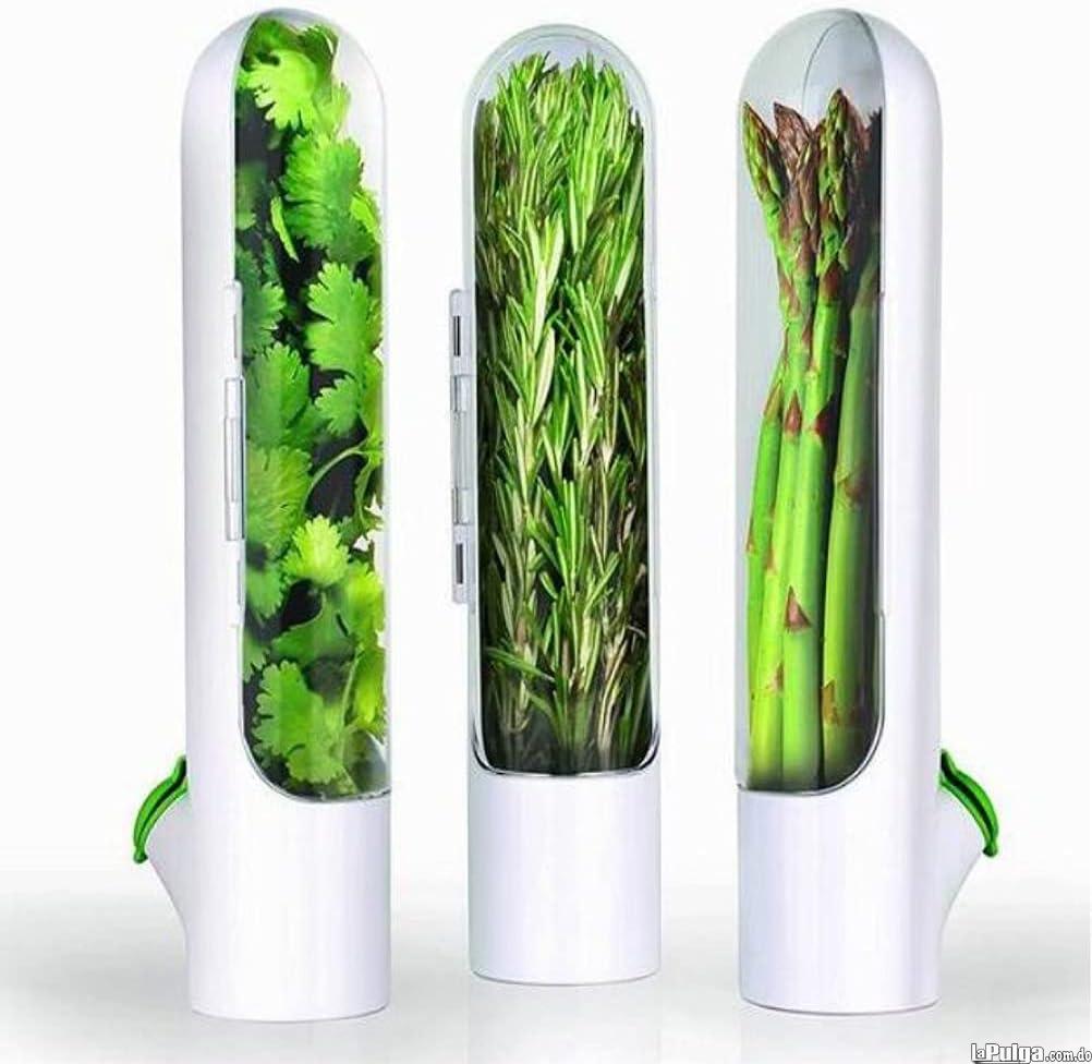 Botella De Conservación De Verduras vegetales cilantro cebollin env Foto 7160553-6.jpg