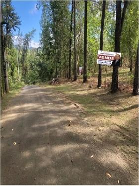 VENDO Finca de 30813 mts.2  SUPER REBAJADO a 700 pesos el Foto 7162868-1.jpg