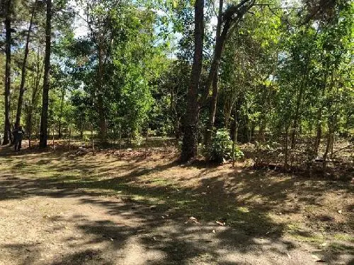 VENDO Finca de 30813 mts.2  SUPER REBAJADO a 700 pesos el Foto 7162868-7.jpg