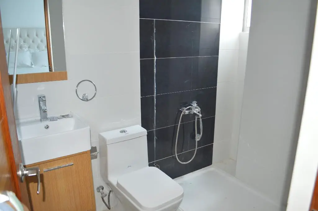 Apartamento en alquiler o venta amueblado en Piantini DN Foto 7163352-8.jpg