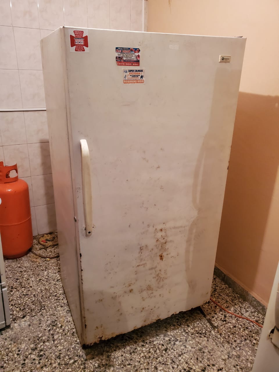 Freezer congelador nevera - romelia  en Santo Domingo DN Foto 7165943-2.jpg