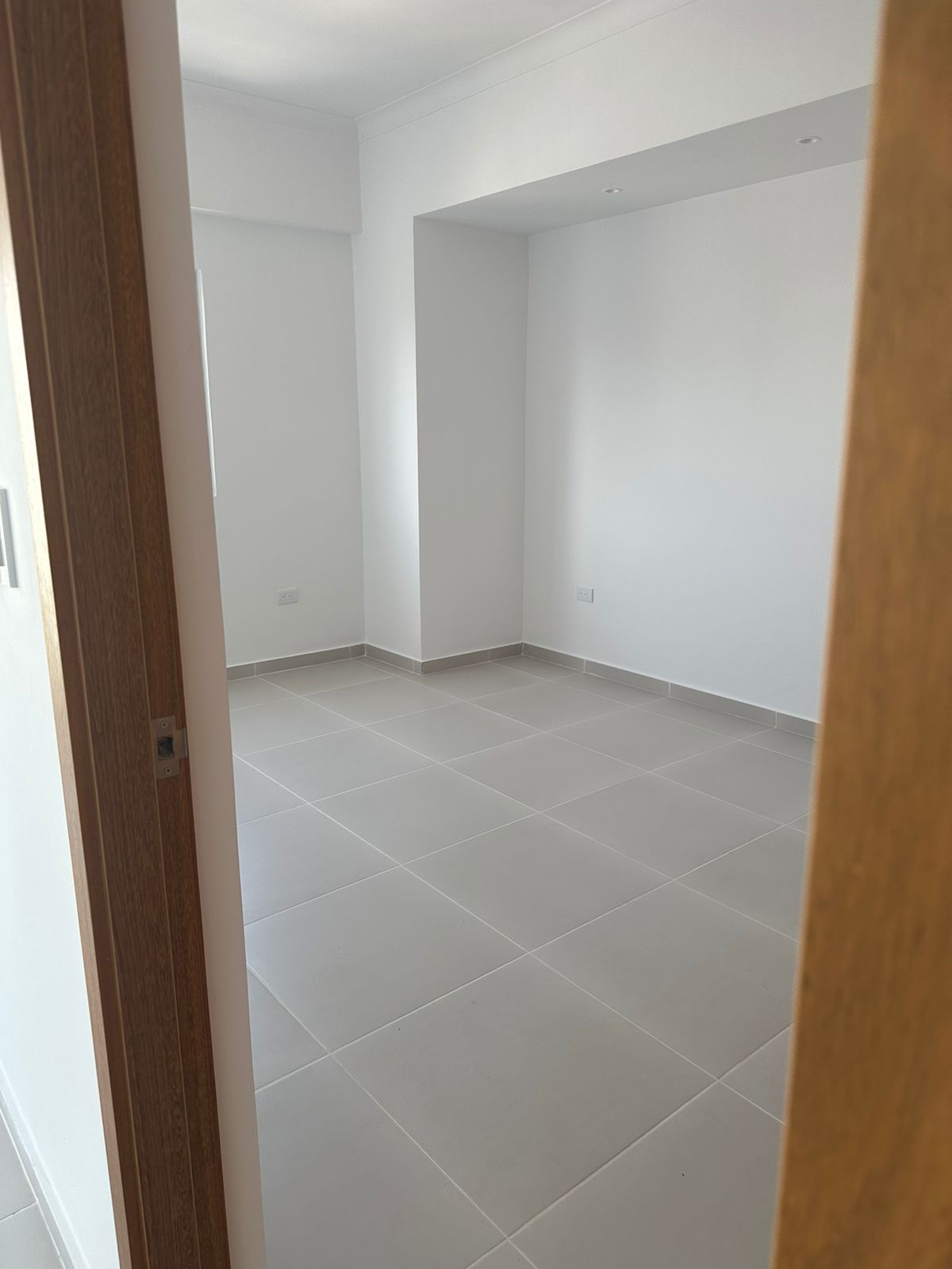 Apartamento En Alquiler Naco 1 Habitación Foto 7166194-3.jpg