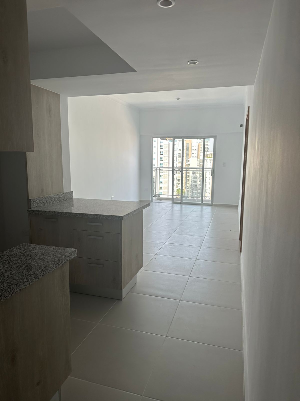Apartamento En Alquiler Naco 1 Habitación Foto 7166194-5.jpg