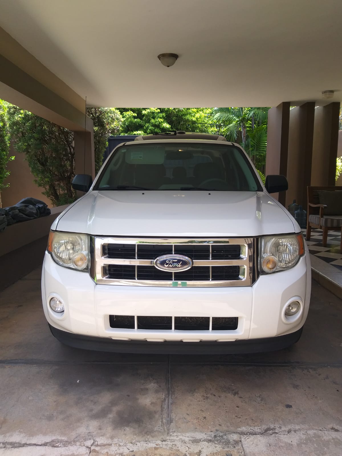 Ford Escape 2012 Foto 7166872-1.jpg