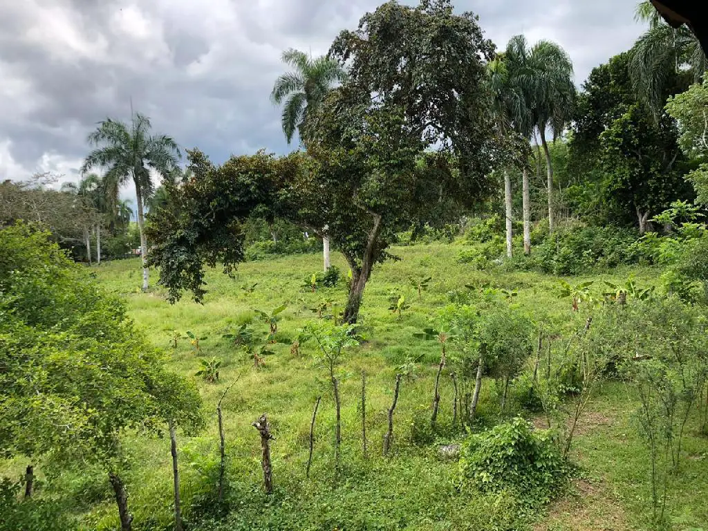 Finca en venta en Carretera Yamasá buena ubicación Foto 7168054-1.jpg