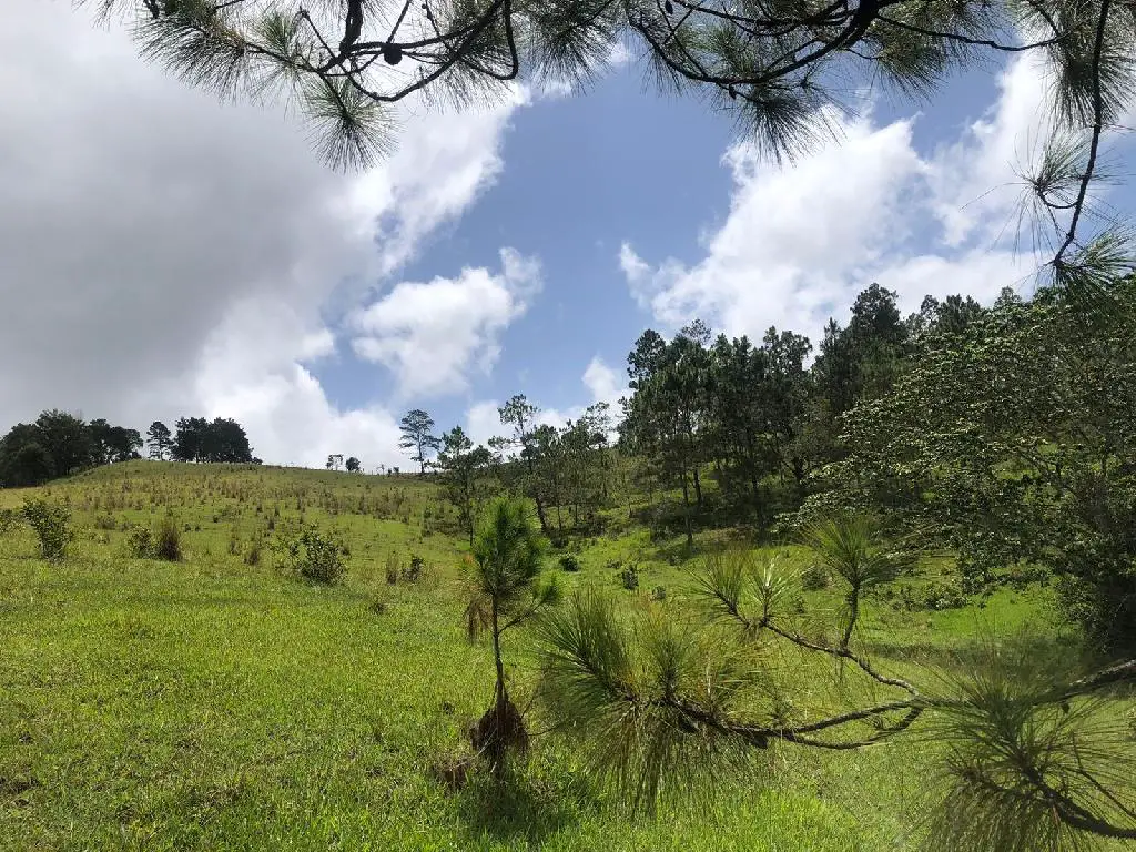 Finca Vacacional en Constanza de 72 mil metros Foto 7172988-2.jpg