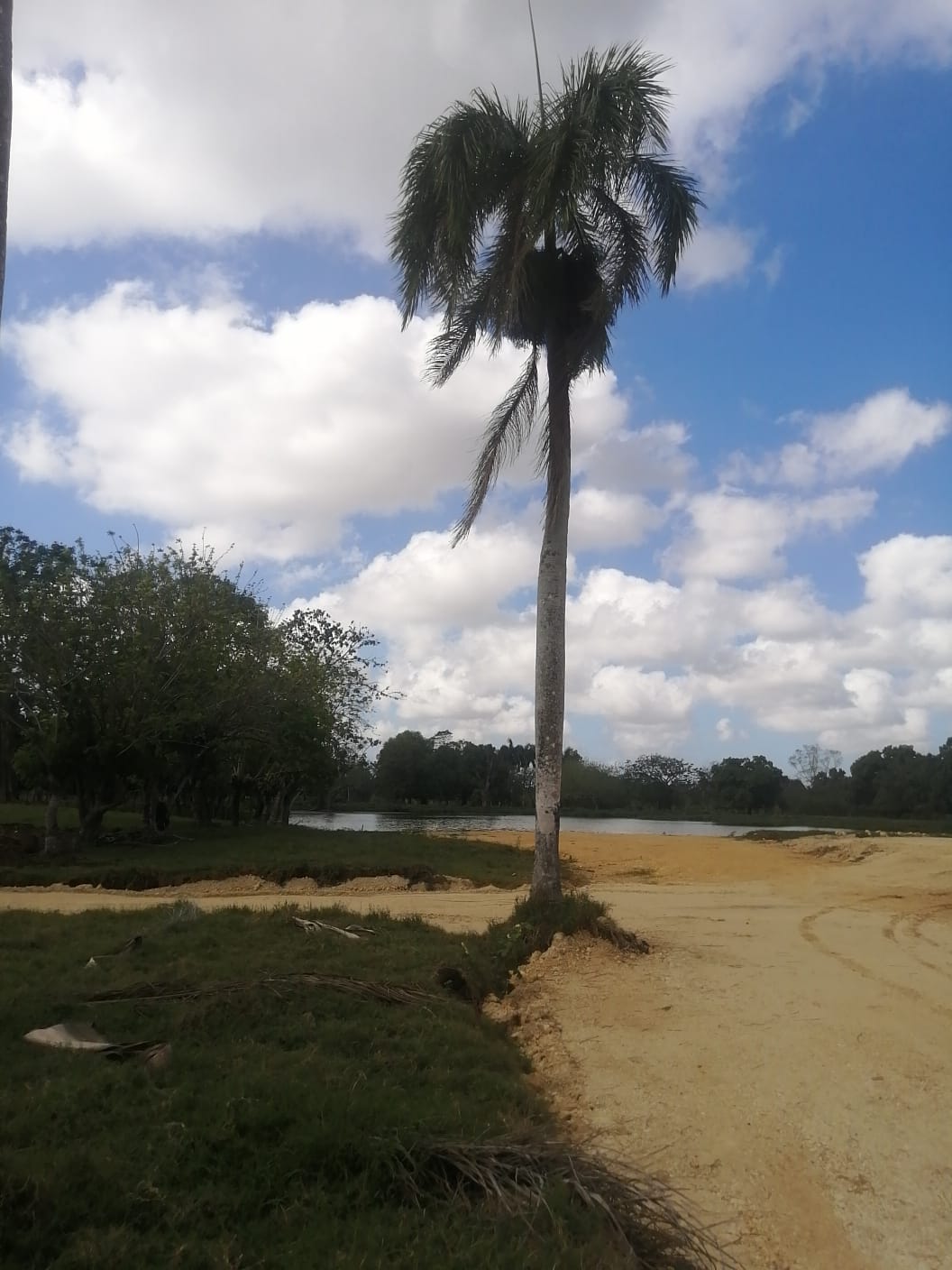 Proyecto en Santo Domingo Norte - CIUDAD DEL LAGO Foto 7173411-3.jpg
