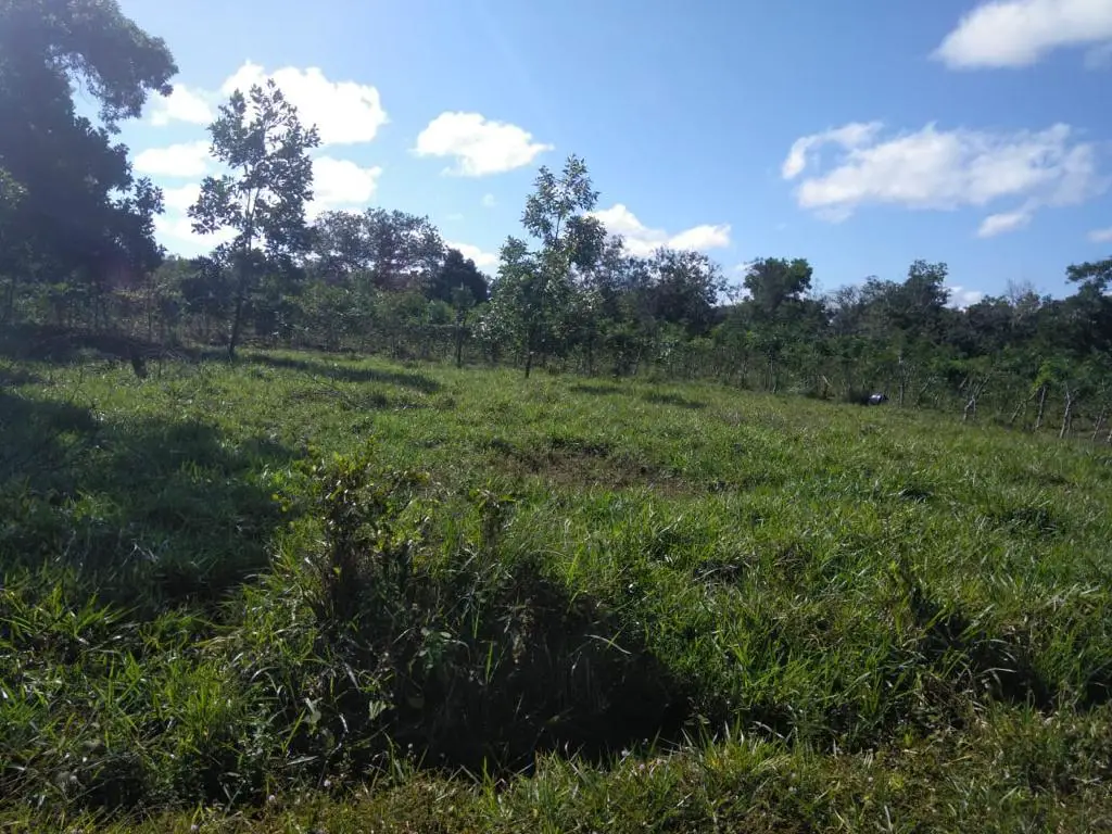 Vendo terreno en un distrito de la provincia de monte plata  Foto 7175094-1.jpg