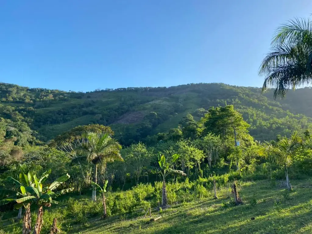Excelente finca en Monte Plata Foto 7175651-2.jpg
