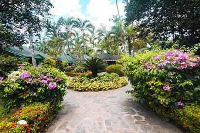 Villas Para Pasar La Navidad En Republica Dominicana! Foto 7176602-J1.jpg