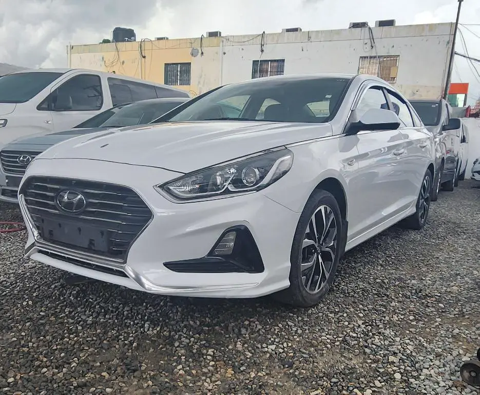 Hyundai sonata LF New Rise 2019  Foto 7188308-1.jpg