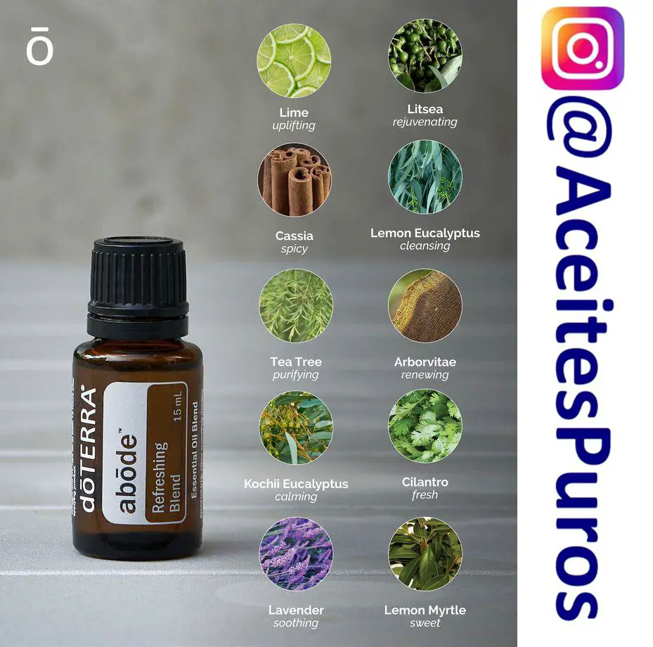 Abode mezcla de aceites doterra para purificar el ambiente Foto 7188737-2.jpg