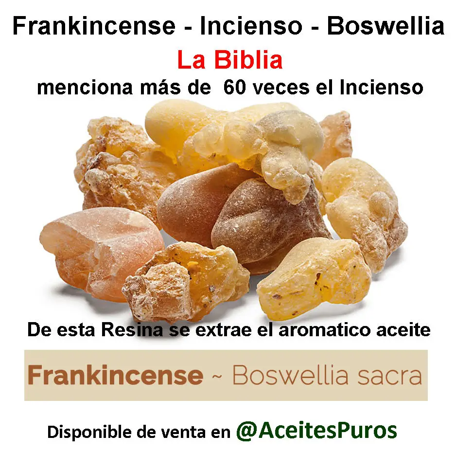 aceite de incienso frankincense original puro genuino Foto 7188747-2.jpg