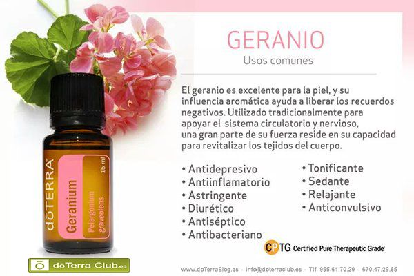 Aceite de geranio puro original natural importado esencial  Foto 7188748-1.jpg