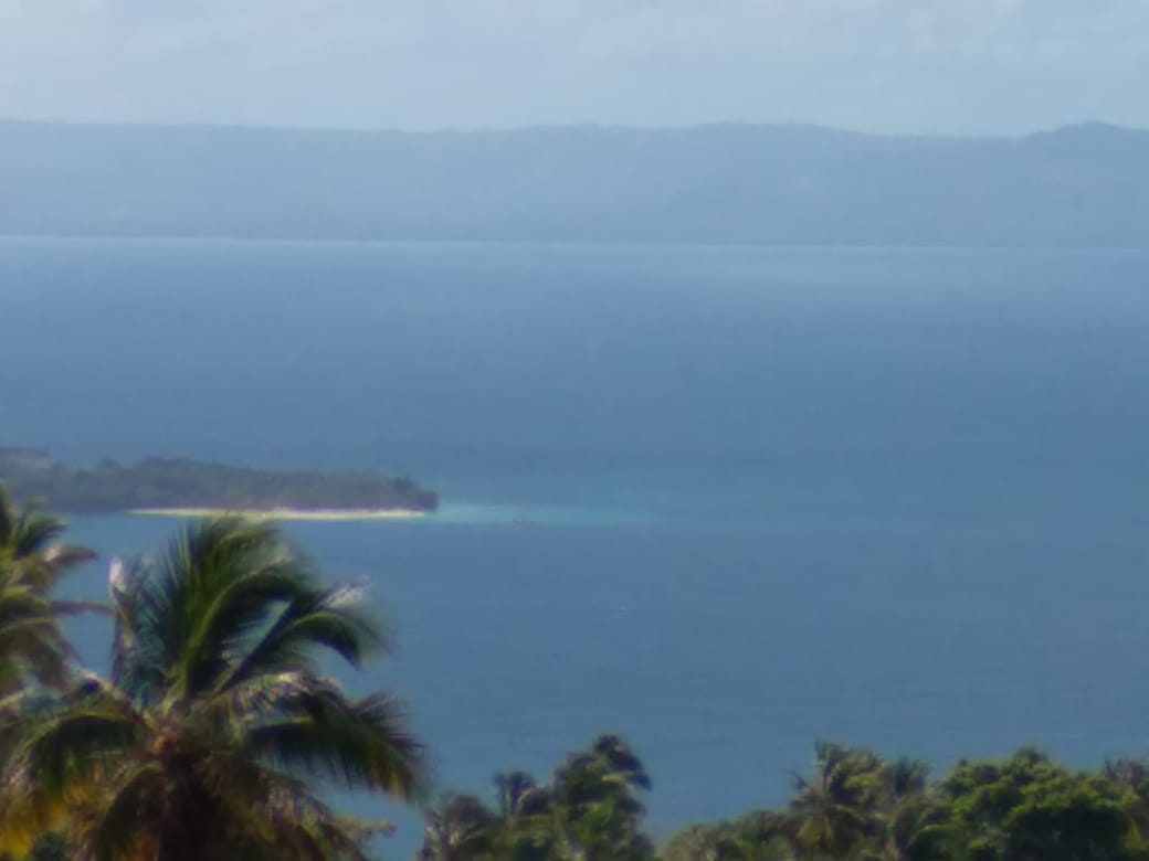 Terreno en Samana con vista al mar  Foto 7189005-3.jpg