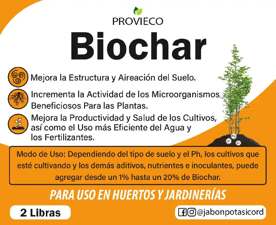 Biochar o Carbón vegetal Mejora el Suelo para Cultivos Foto 7192990-p1.jpg