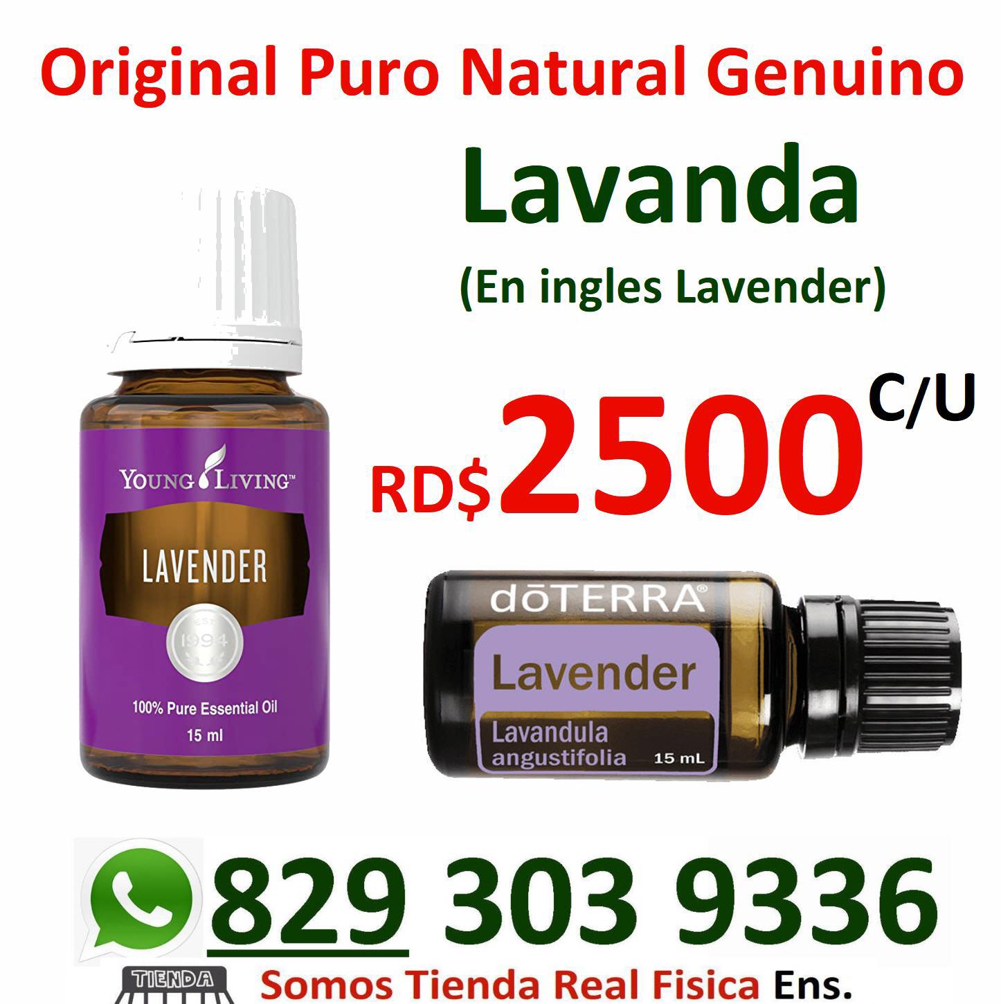 Young living y doterra aceites de lavanda purisimos de alta  Foto 7194351-1.jpg