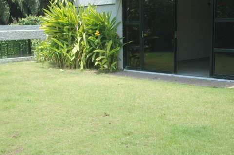ARROYO HONDO - VENDO/ALQUILO CASA CUSTA HERMOSA l Foto 7195947-4.jpg