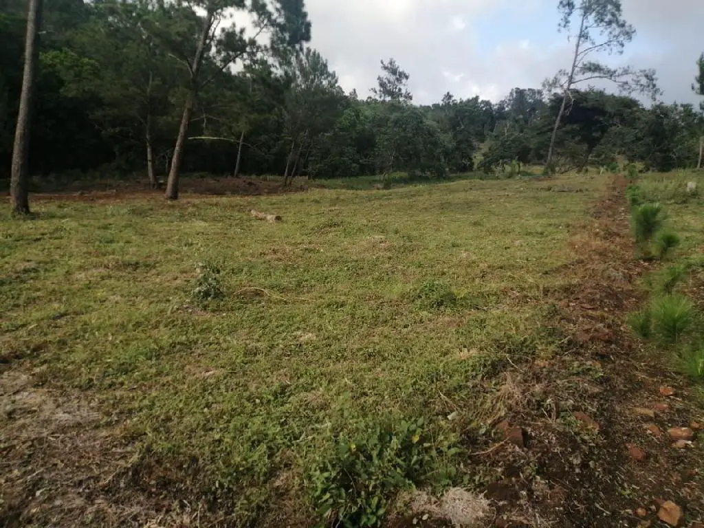 Solares en Venta en Jarabacoa - Proyecto Ecológico Mi Refugi Foto 7198834-R2.jpg