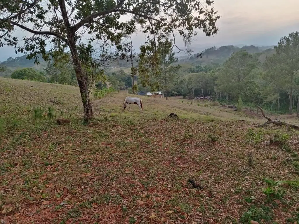 Solares en Venta en Jarabacoa - Proyecto Ecológico Mi Refugi Foto 7198834-R3.jpg