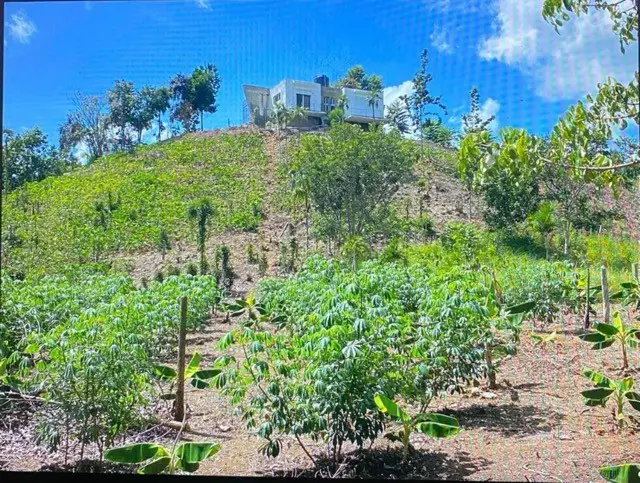 casa tope de montaña BAYAGUANA loma de los jabieles Foto 7201217-D1.jpg