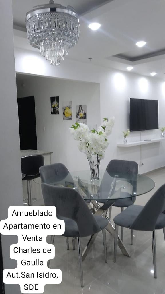 Apartamento Amueblado en Venta Charles de G Aut.San Isidro Foto 7201859-6.jpg