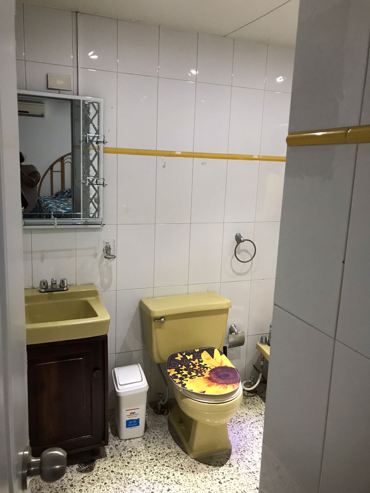 1439 ALQUILER DE APARTAMENTO AMUEBLADO-GAZCUE Foto 7201986-6.jpg