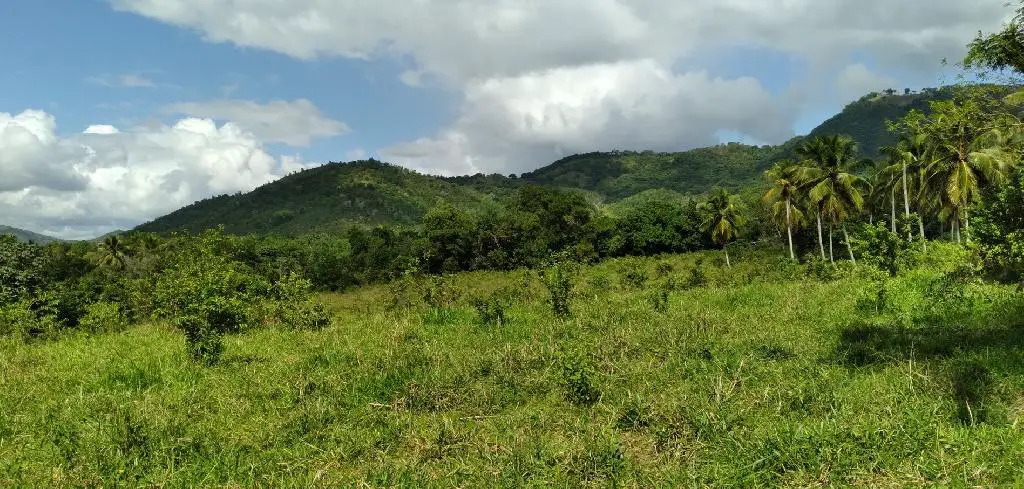 finca agricola en yamasa con casa, 1500 tareas Foto 7202516-2.jpg