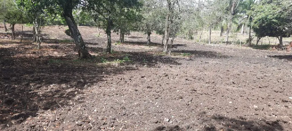 Vendo terreno de 6675 mts en Higuero con título al día  Foto 7204376-1.jpg
