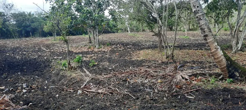 Vendo terreno de 6675 mts en Higuero con título al día  Foto 7204376-2.jpg