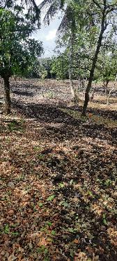Vendo terreno de 6675 mts en Higuero con título al día  Foto 7204376-3.jpg