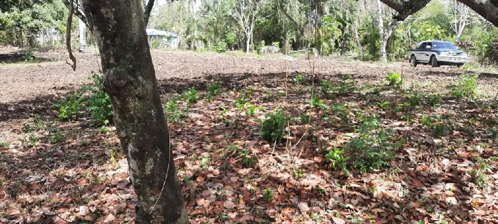 Vendo terreno de 6675 mts en Higuero con título al día  Foto 7204376-4.jpg
