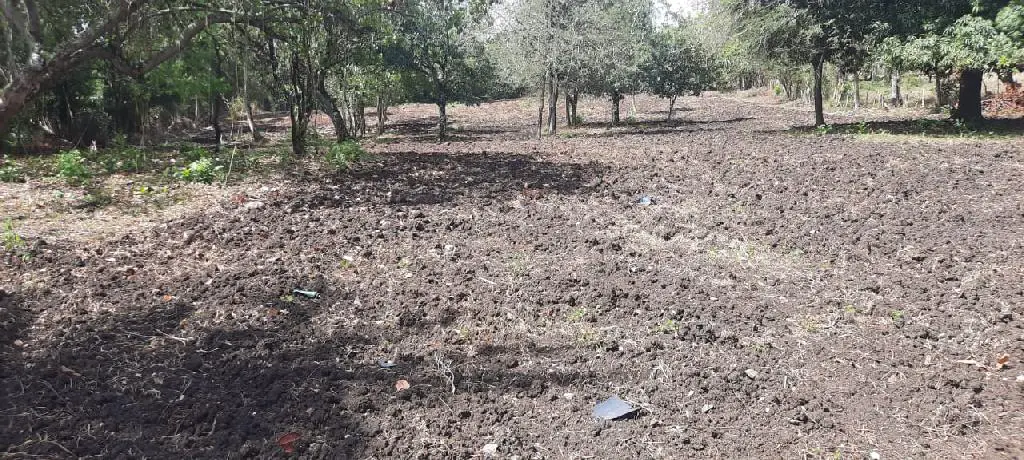 Vendo terreno de 6675 mts en Higuero con título al día  Foto 7204376-5.jpg