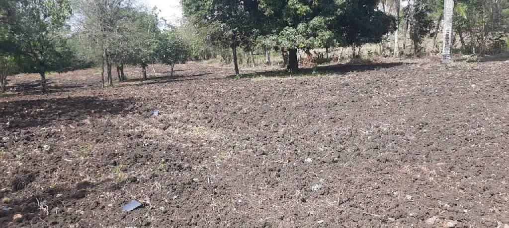 Vendo terreno de 6675 mts en Higuero con título al día  Foto 7204376-6.jpg