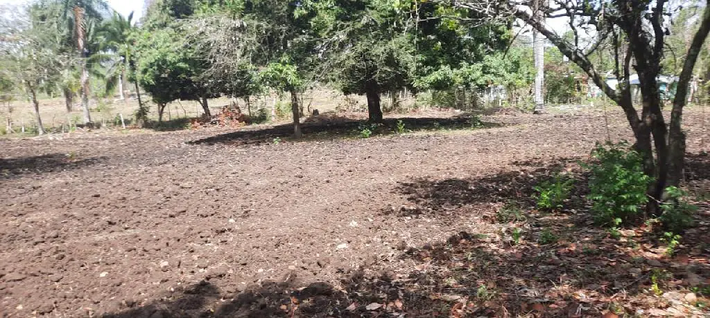 Vendo terreno de 6675 mts en Higuero con título al día  Foto 7204376-7.jpg