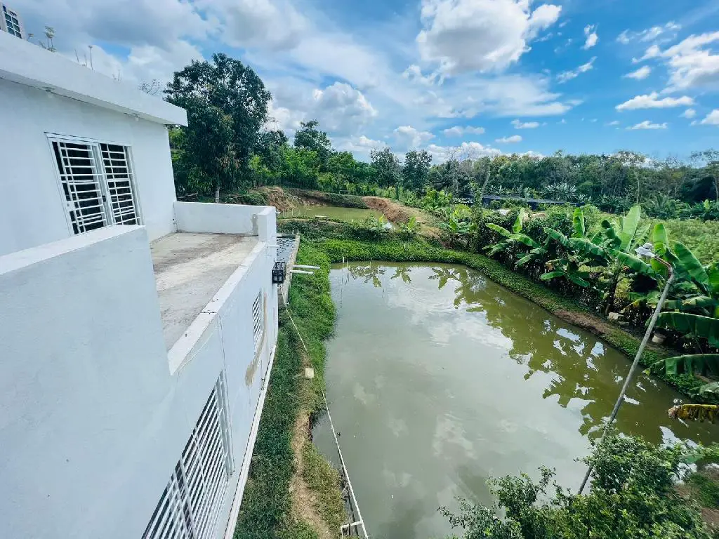 Se vende hermosa casa con proyecto de crianzas de pescado Foto 7205655-4.jpg