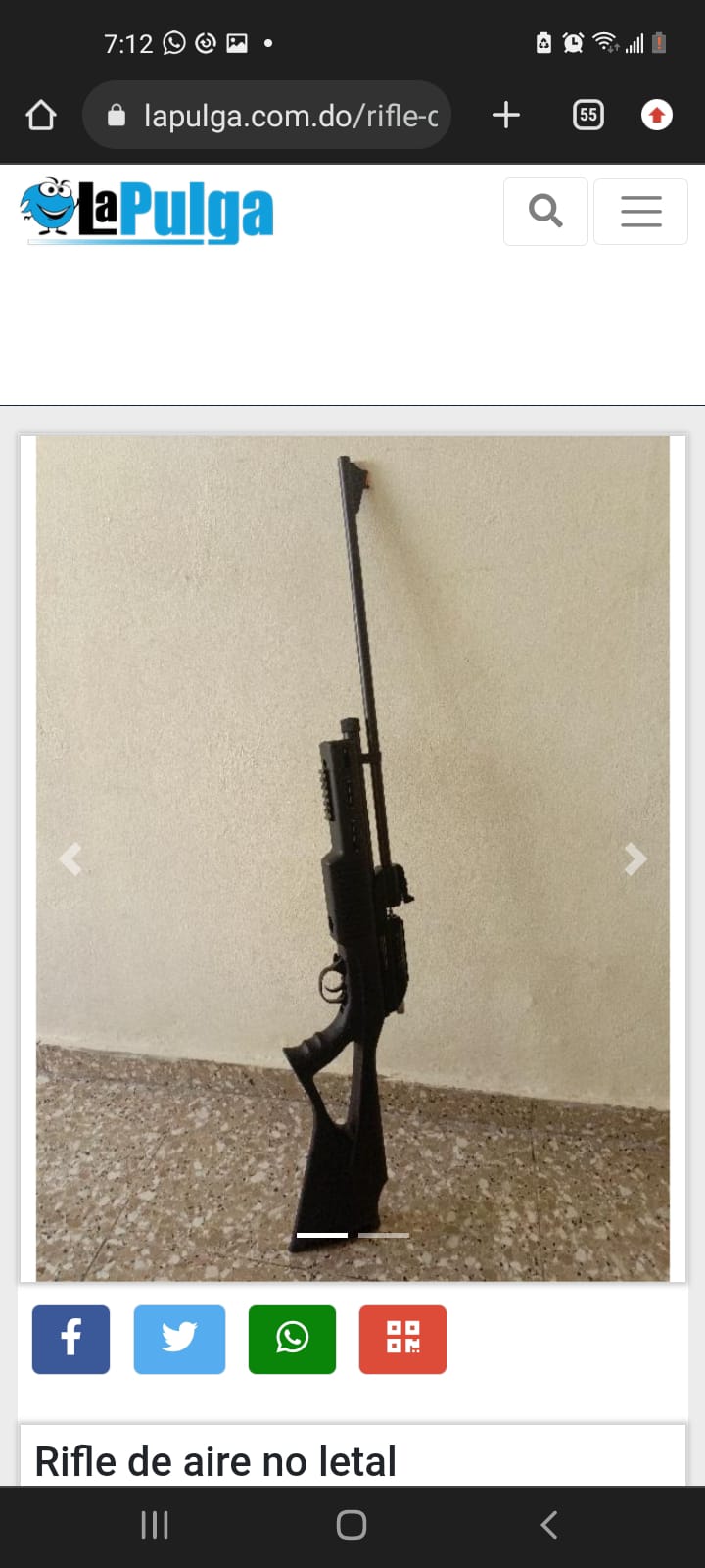 Rifle De Caseria No Letal De Co2 en Santo Domingo Oeste Foto 7205719-1.jpg