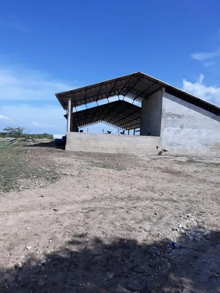 FInca de 1000 tareas en Guayubín Montecristi Foto 7206357-1.jpg