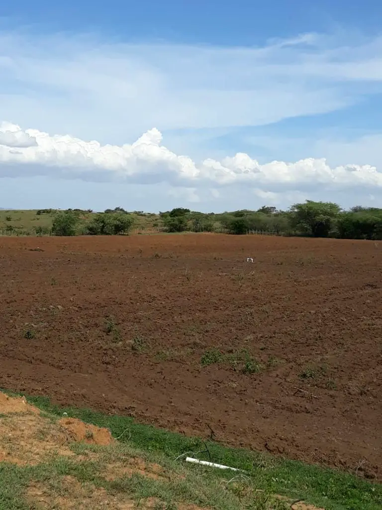 FInca de 1000 tareas en Guayubín Montecristi Foto 7206357-6.jpg
