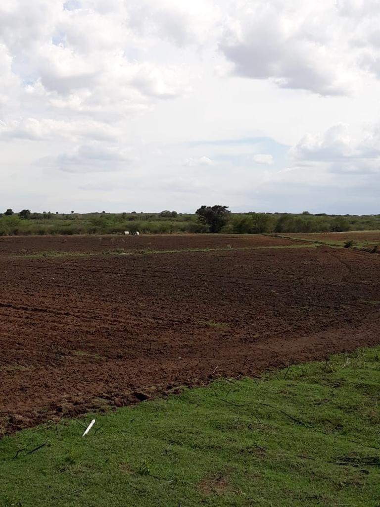 FInca de 1000 tareas en Guayubín Montecristi Foto 7206357-7.jpg