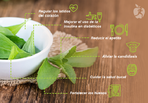 LLEGO EL AZUCAR para diabeticos La Stevia lo mejor que hay  Foto 7209819-2.jpg